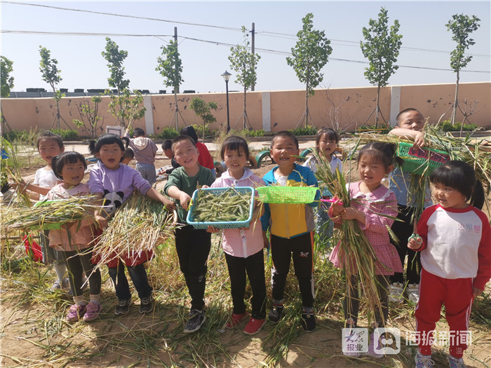 一粒麦子教育的启示 利津县陈庄镇付窝幼儿园以劳动浇筑勤俭之根
