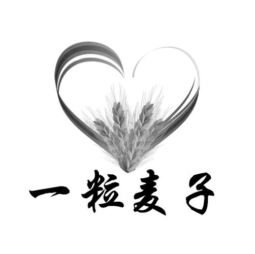 经纬之间，麦穗之上 苏州浩恩纺织科技与一粒麦子教育的跨界交响